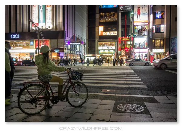 Tokyo City – Part III - photo 4