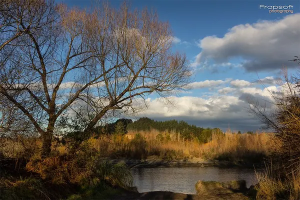 Turangi – Part I - photo 2