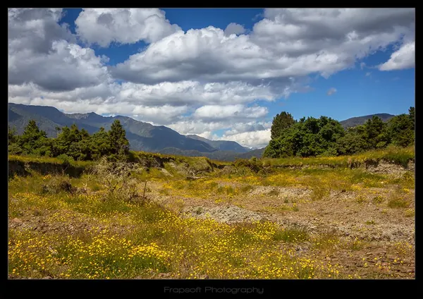Hiking Down the Waihou River - photo 3