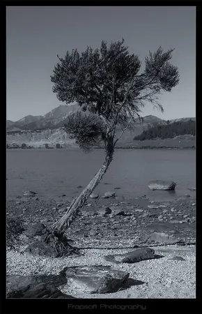 Hiking Trip Wanaka – Part IV - photo 3