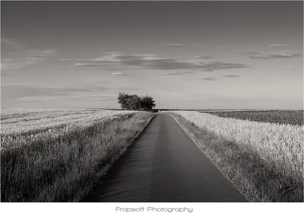 Where Bill Meets the Hill - photo 3