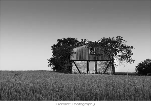 Where Bill Meets the Hill - photo 4