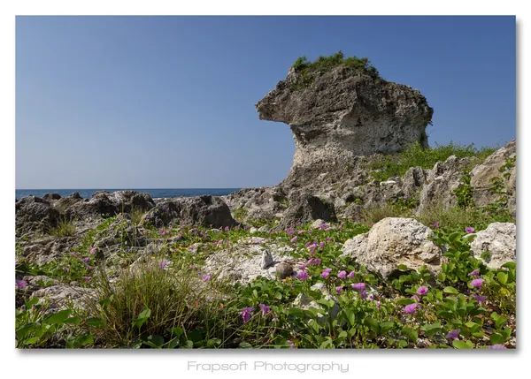 XIiao Liu Qiu Island - photo 4