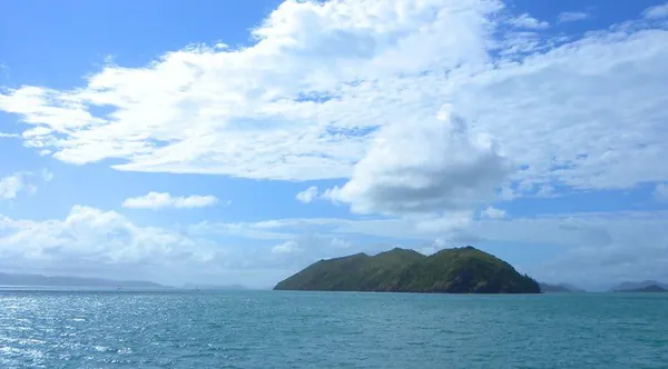 Xmas – Diving at the Great Barrier Reef - photo 5