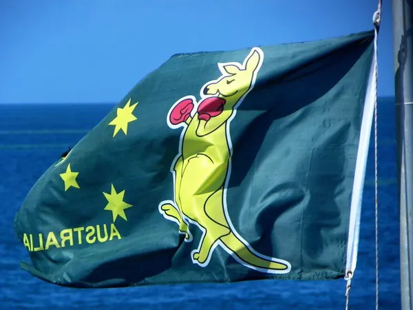 Xmas – Diving at the Great Barrier Reef - photo 9