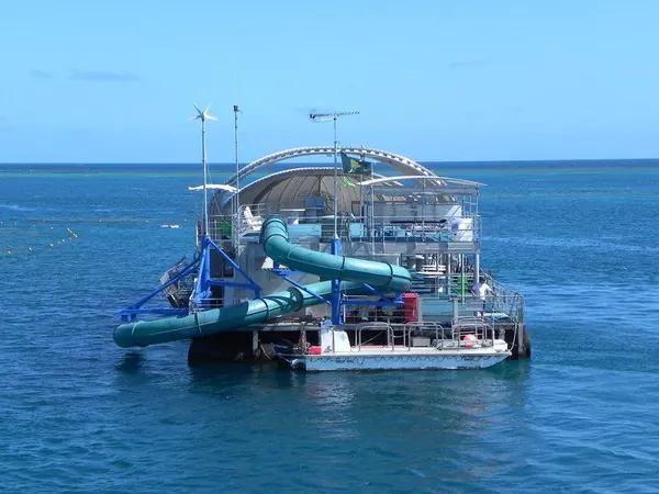 Xmas – Diving at the Great Barrier Reef - photo 10