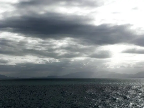 Xmas – Diving at the Great Barrier Reef - photo 11