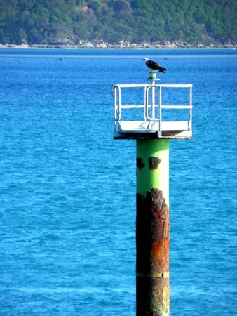 Xmas – Diving at the Great Barrier Reef - photo 13