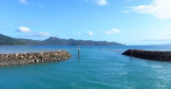 Xmas – Diving at the Great Barrier Reef - photo 14