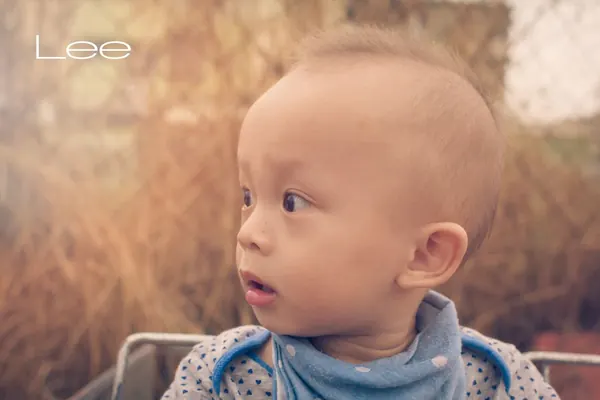 Young Lee